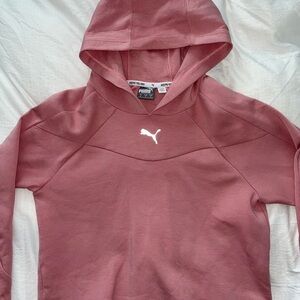 Puma Cropped Athletic Hoodie